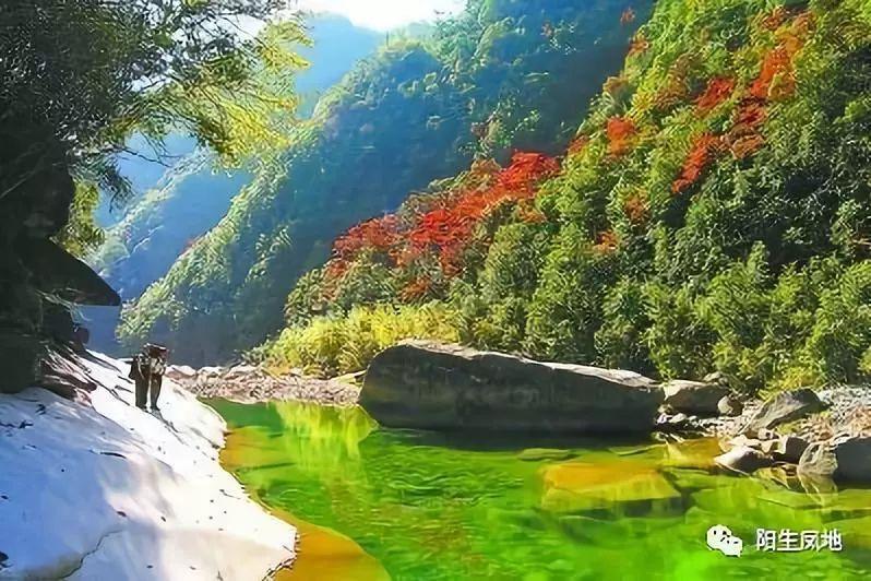 逗小猴开心系列208